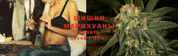 spice Няндома