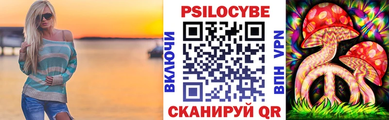 Купить где  Меленки  Галлюциногенные грибы Cubensis 